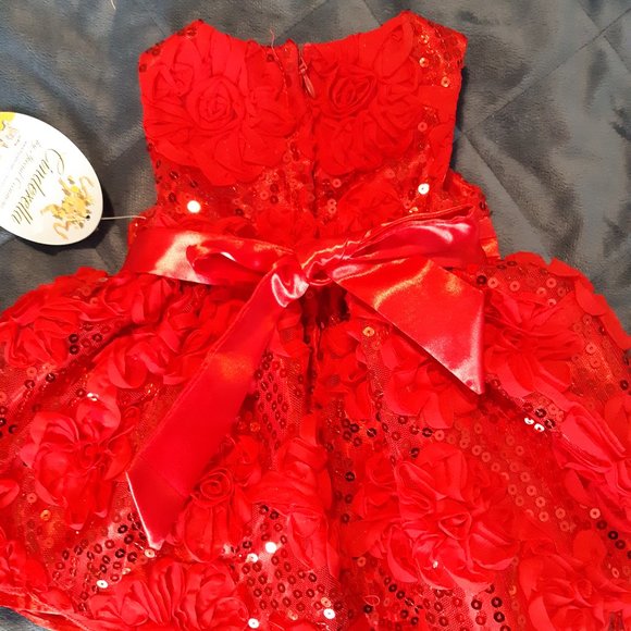 New Cinderella party dress 6months - 2 piece - Picture 3 of 5